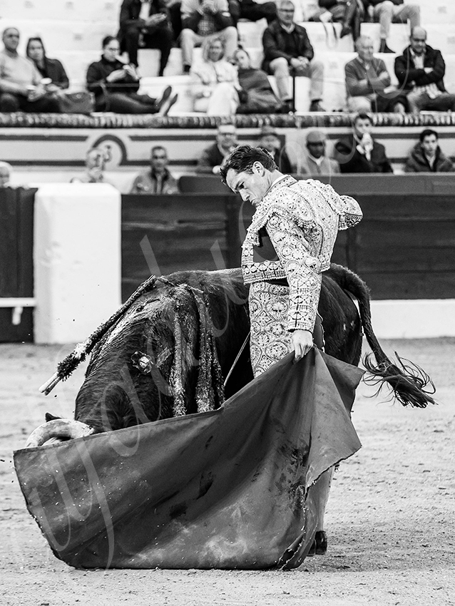 20260307 olivenza fd 013