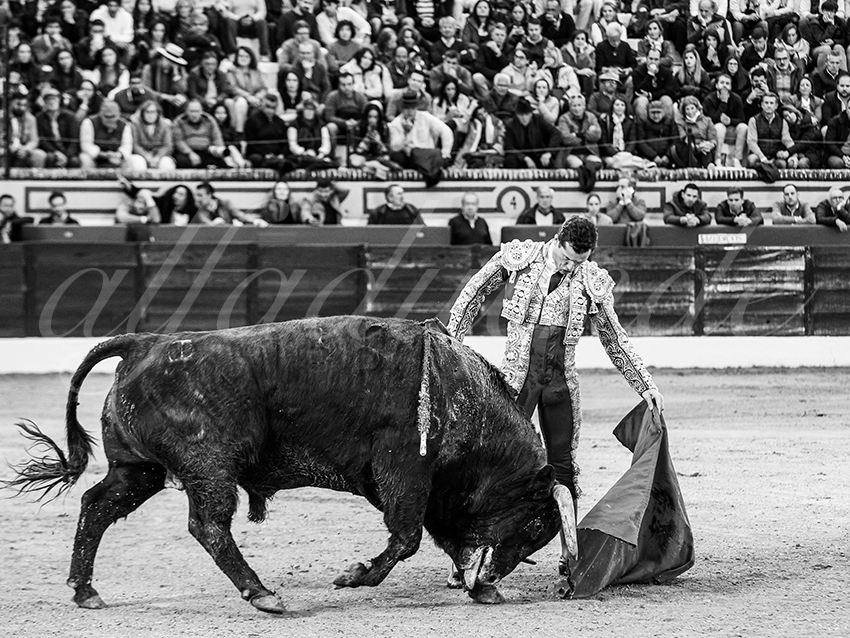 20260307 olivenza fd 012