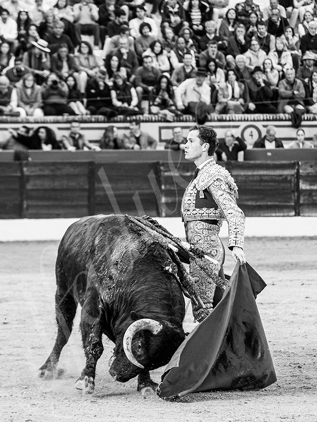 20260307 olivenza fd 011