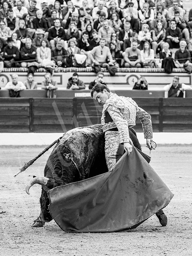 20260307 olivenza fd 010