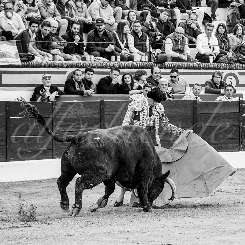 20260307 olivenza fd 009