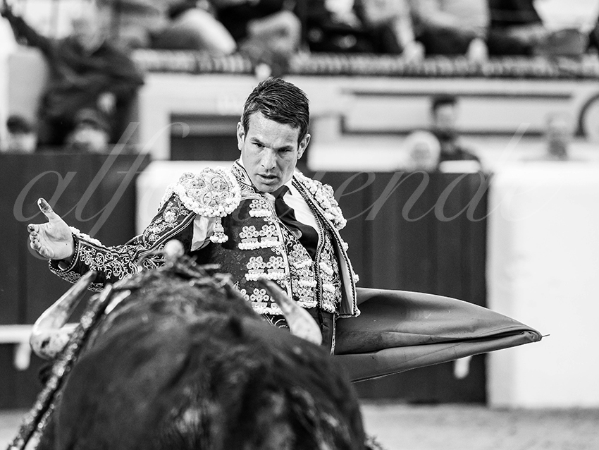 20260307 olivenza fd 008