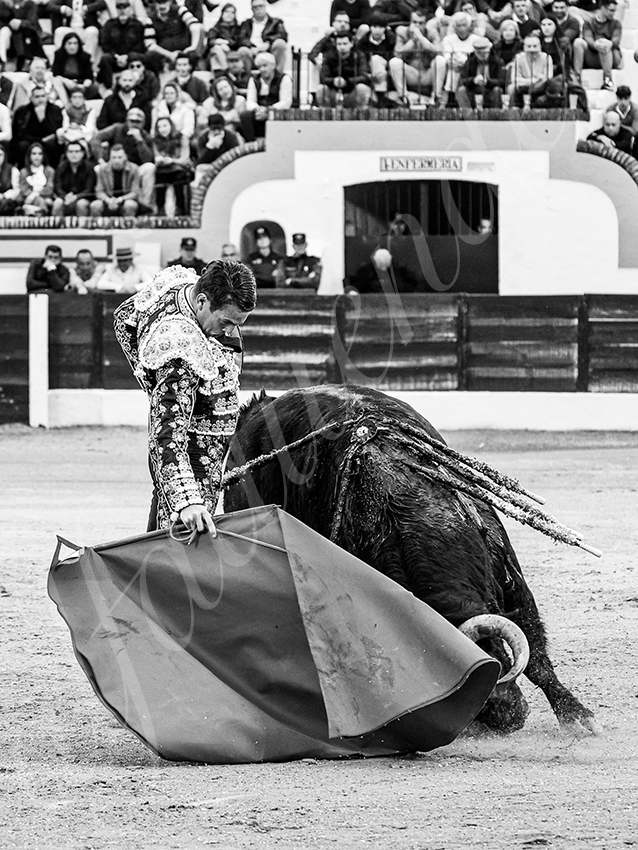 20260307 olivenza fd 007