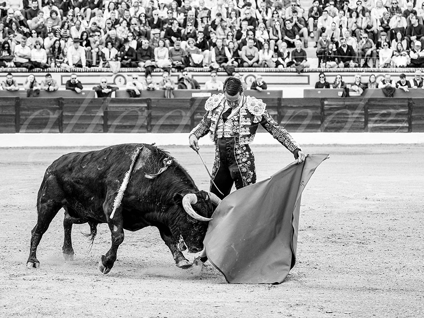 20260307 olivenza fd 005