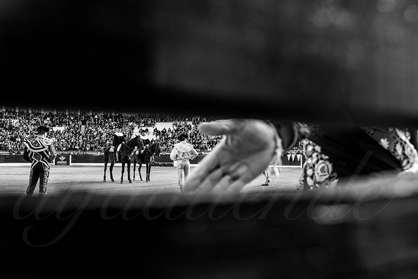 20260307 olivenza fd 003