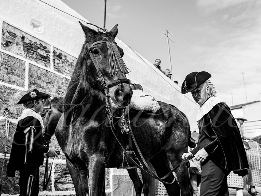 20260307 olivenza fd 001