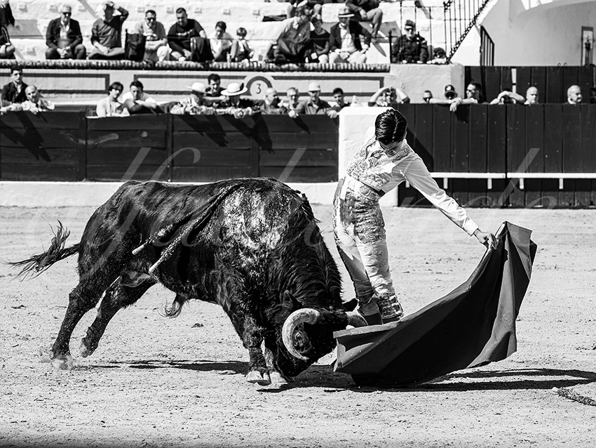 20260308 manana olivenza fd 020