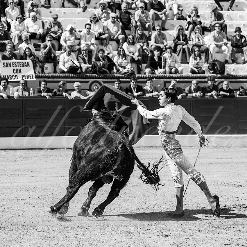 20260308 manana olivenza fd 019