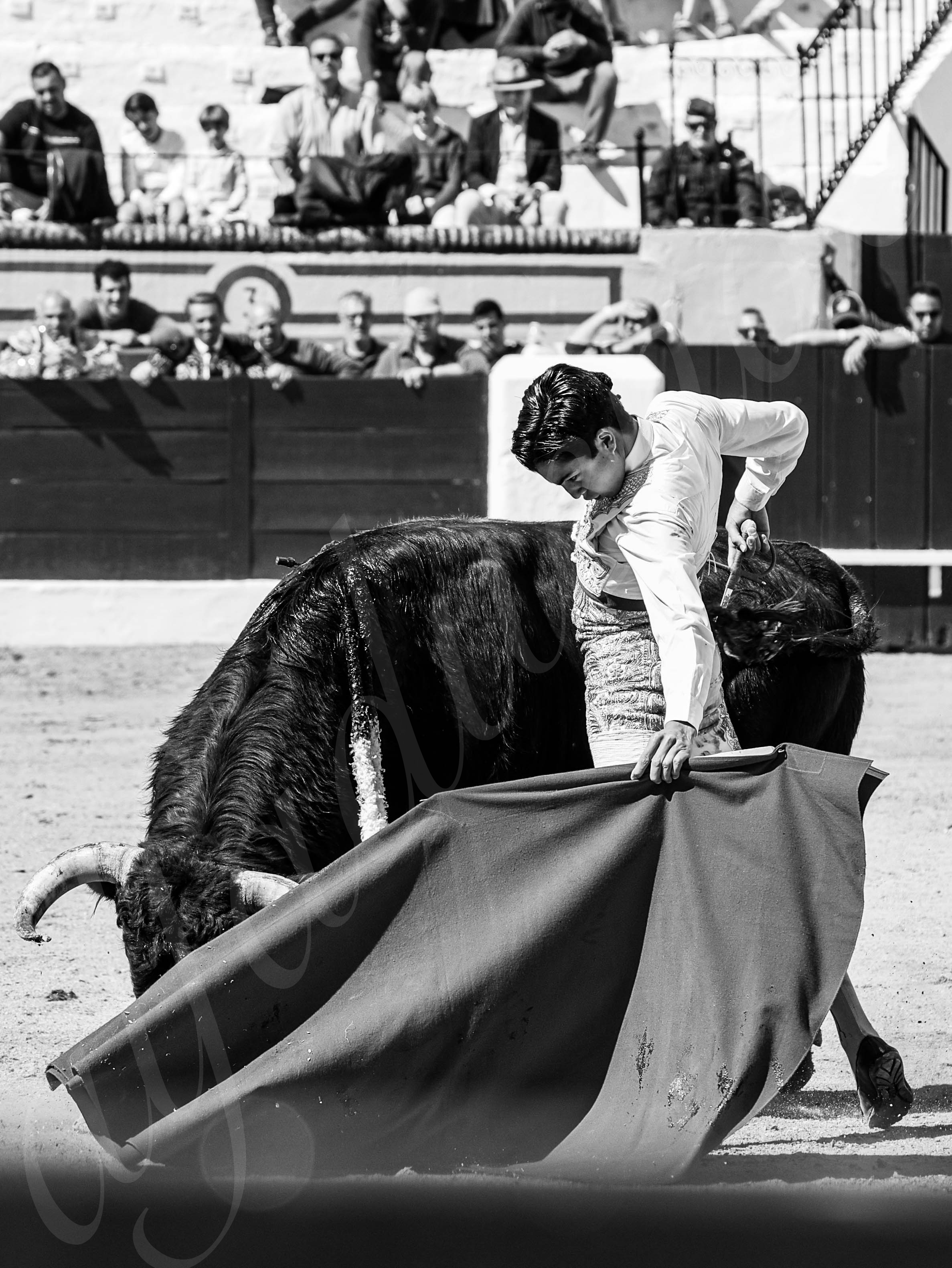 20260308 manana olivenza fd 018