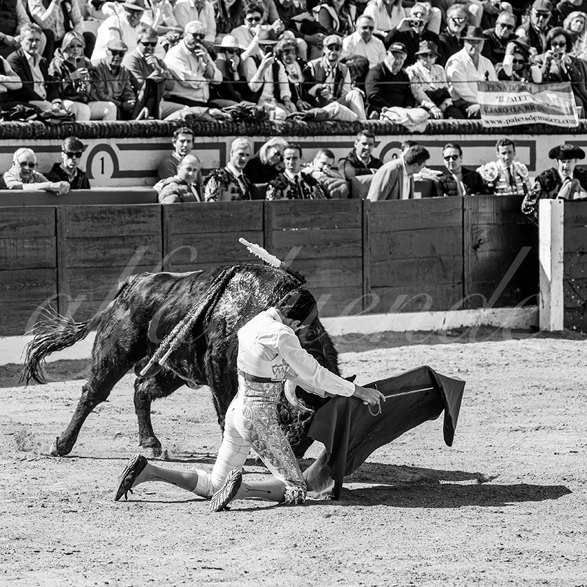 20260308 manana olivenza fd 017