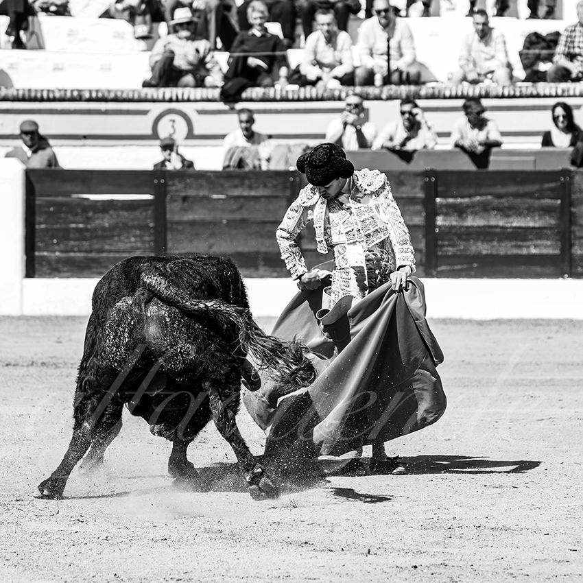 20260308 manana olivenza fd 014