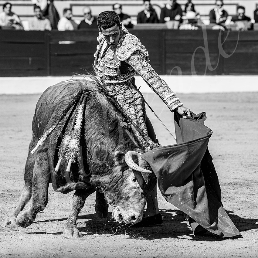 20260308 manana olivenza fd 011