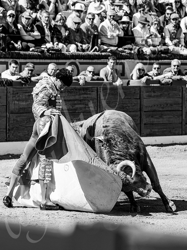 20260308 manana olivenza fd 010