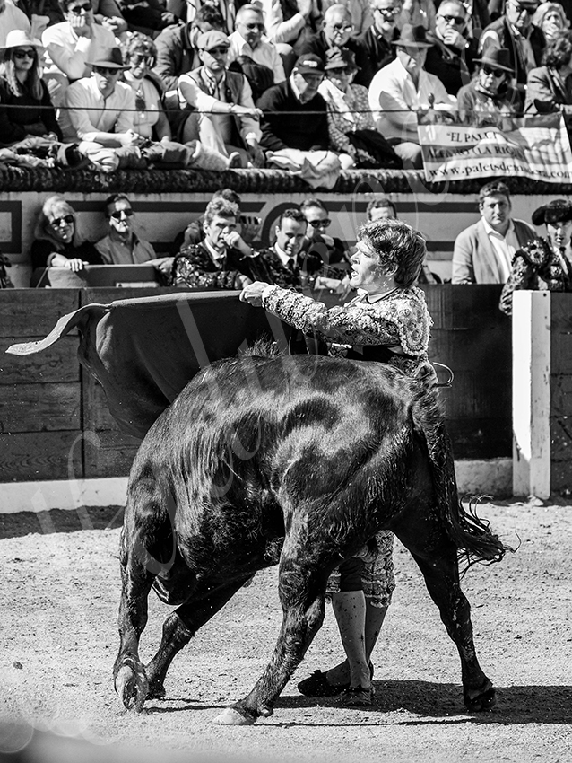 20260308 manana olivenza fd 008