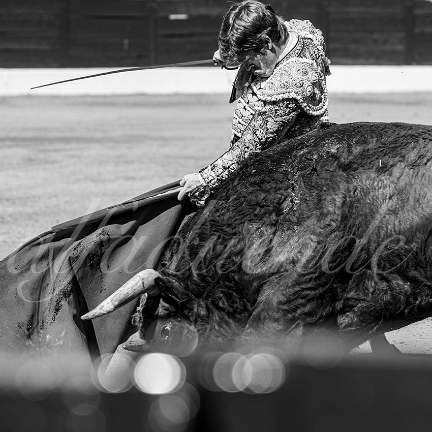 20260308 manana olivenza fd 007