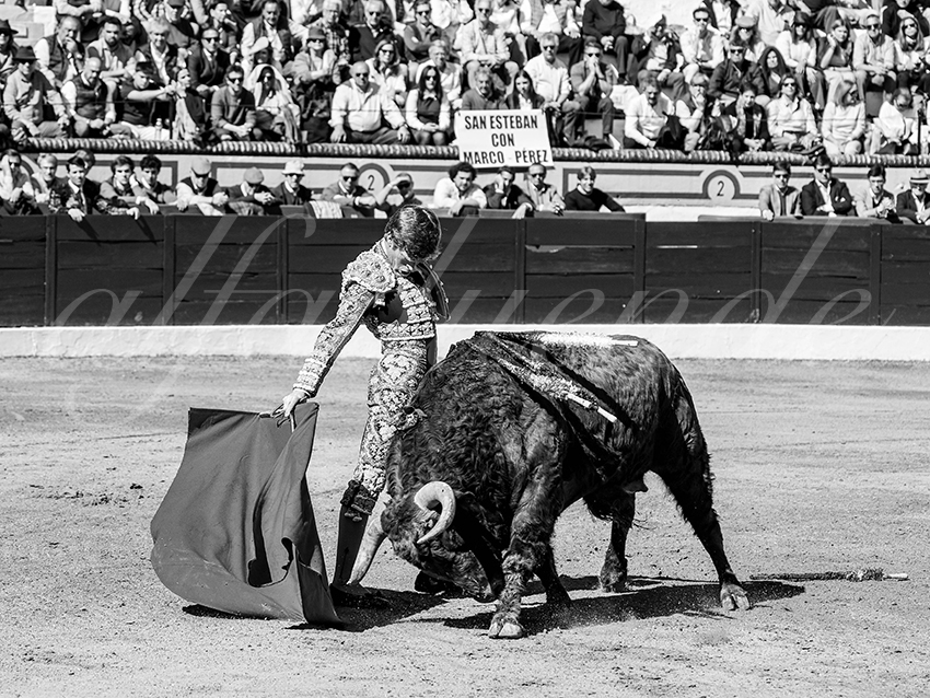 20260308 manana olivenza fd 006