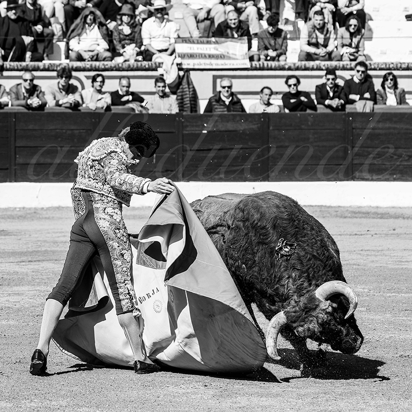 20260308 manana olivenza fd 004