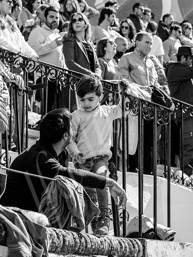 20260308 manana olivenza fd 003