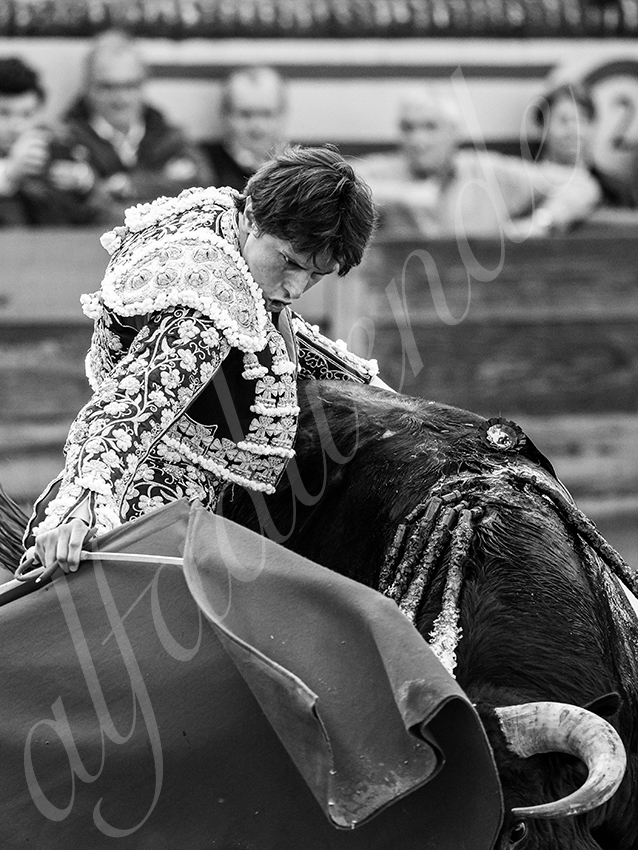 20260308 tarde olivenza fd 020