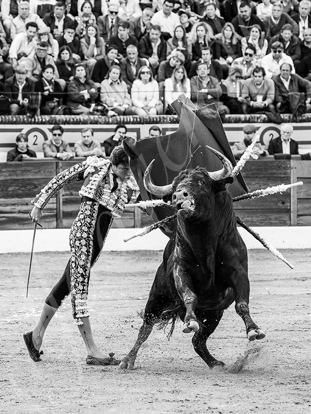 20260308 tarde olivenza fd 019