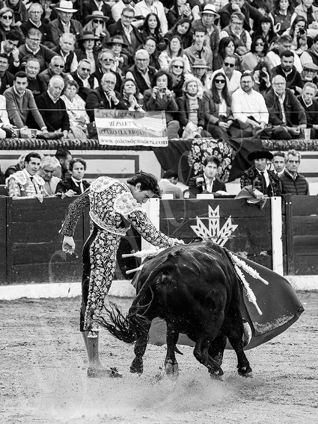 20260308 tarde olivenza fd 018