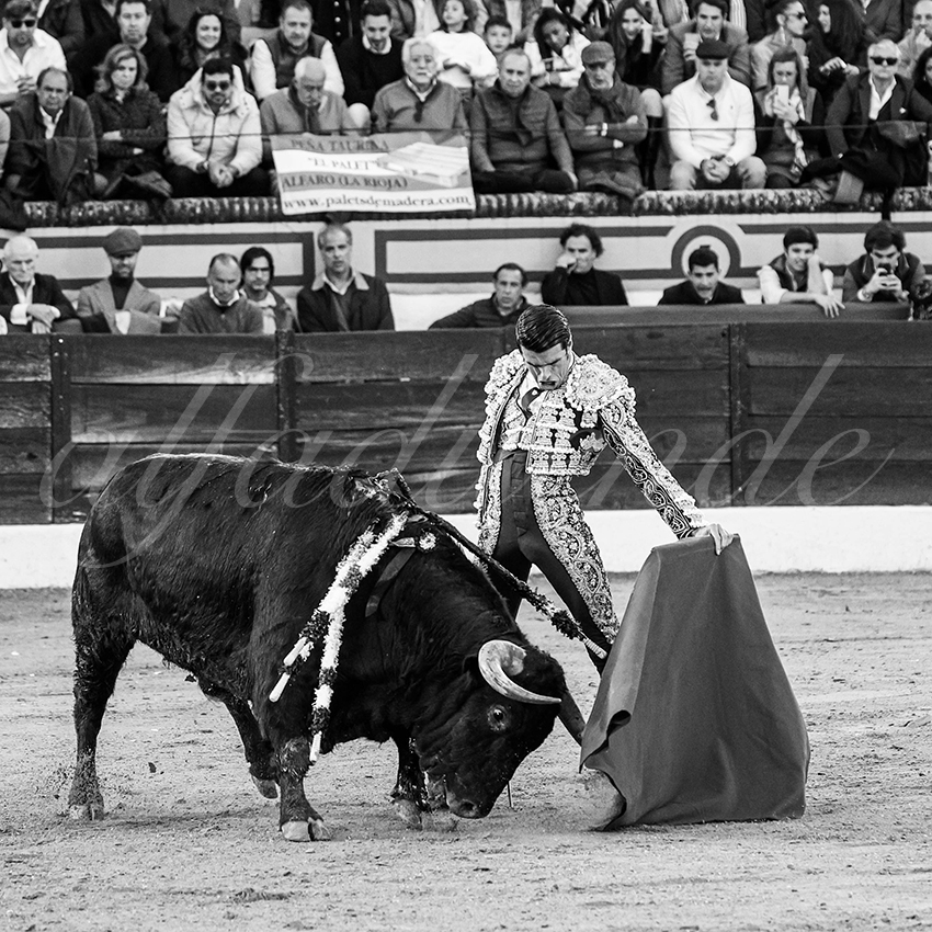 20260308 tarde olivenza fd 016