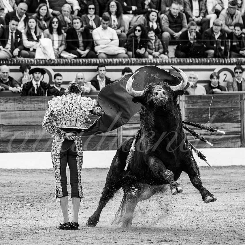 20260308 tarde olivenza fd 015