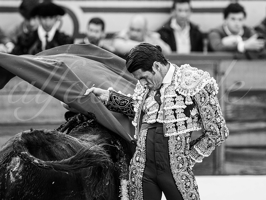 20260308 tarde olivenza fd 014