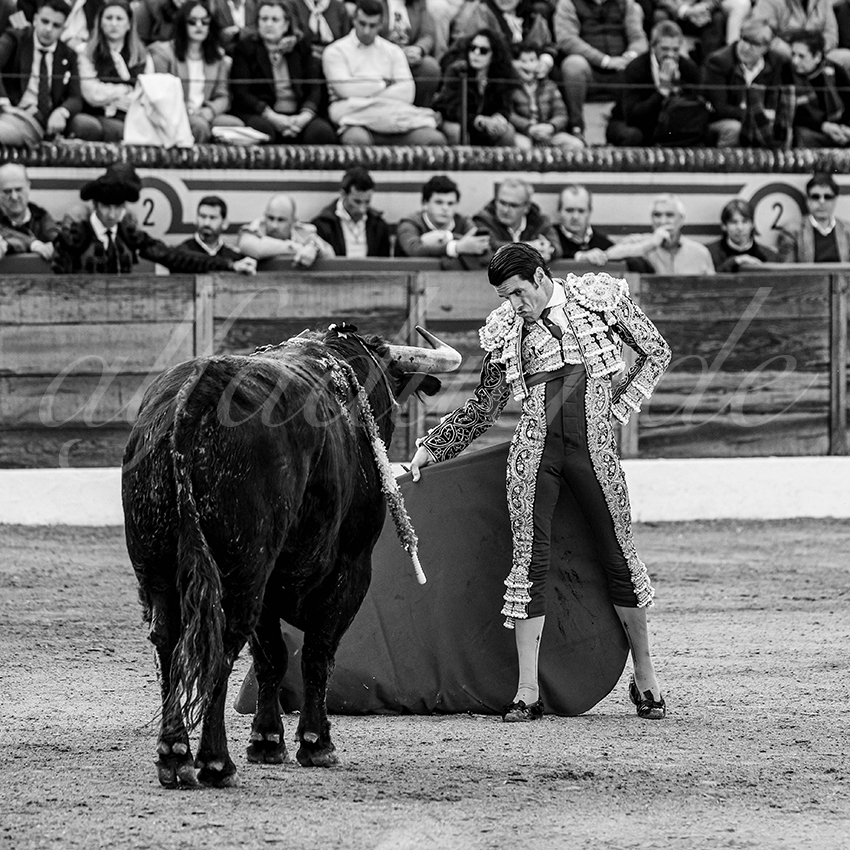 20260308 tarde olivenza fd 013