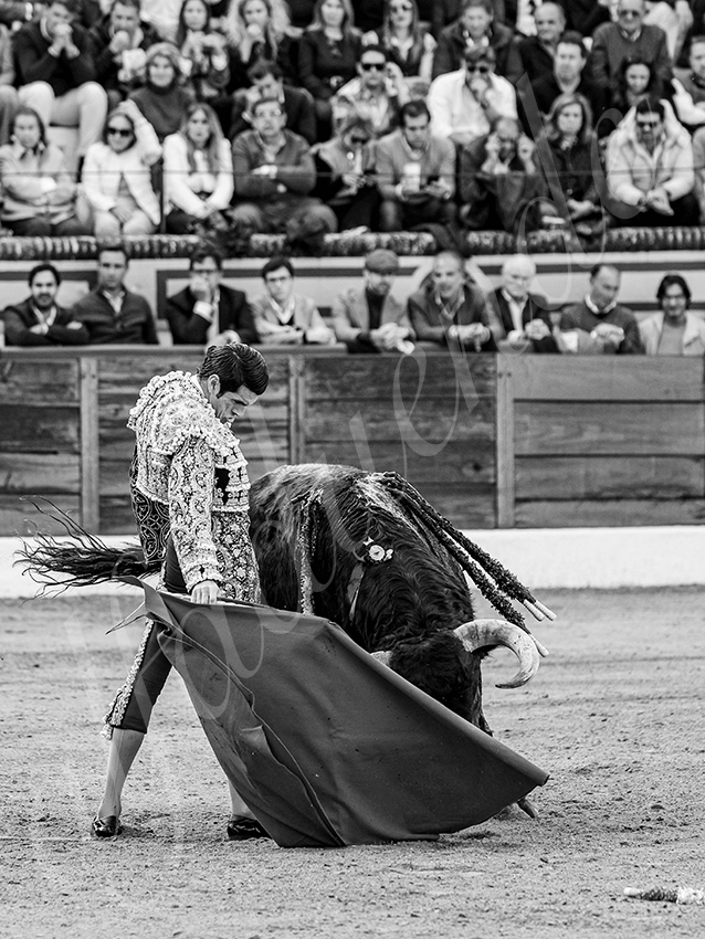 20260308 tarde olivenza fd 012