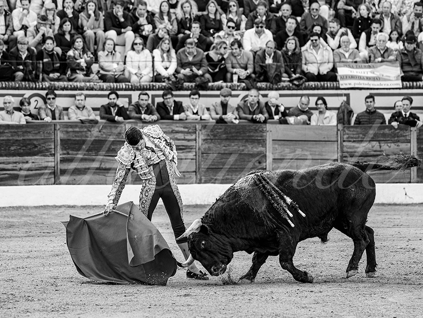 20260308 tarde olivenza fd 011