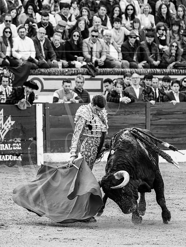 20260308 tarde olivenza fd 010