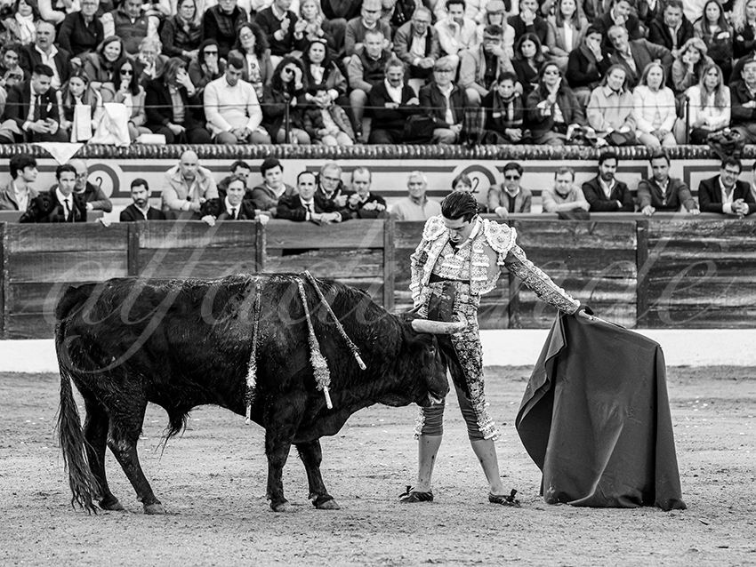 20260308 tarde olivenza fd 008