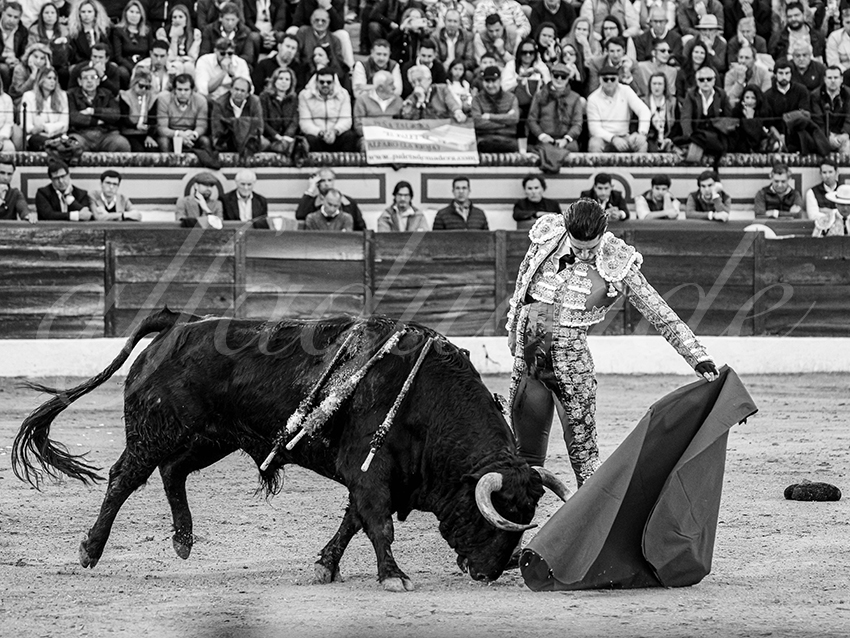 20260308 tarde olivenza fd 007