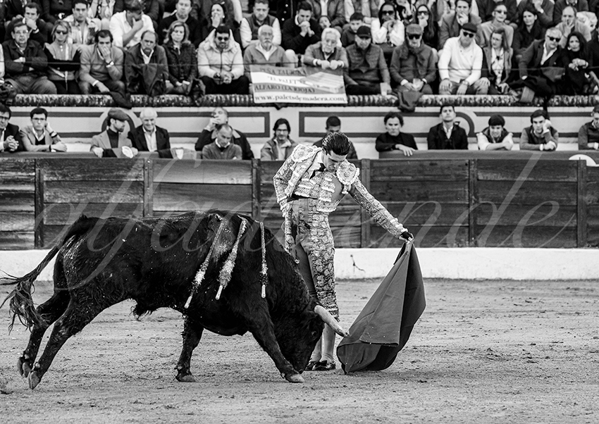 20260308 tarde olivenza fd 006