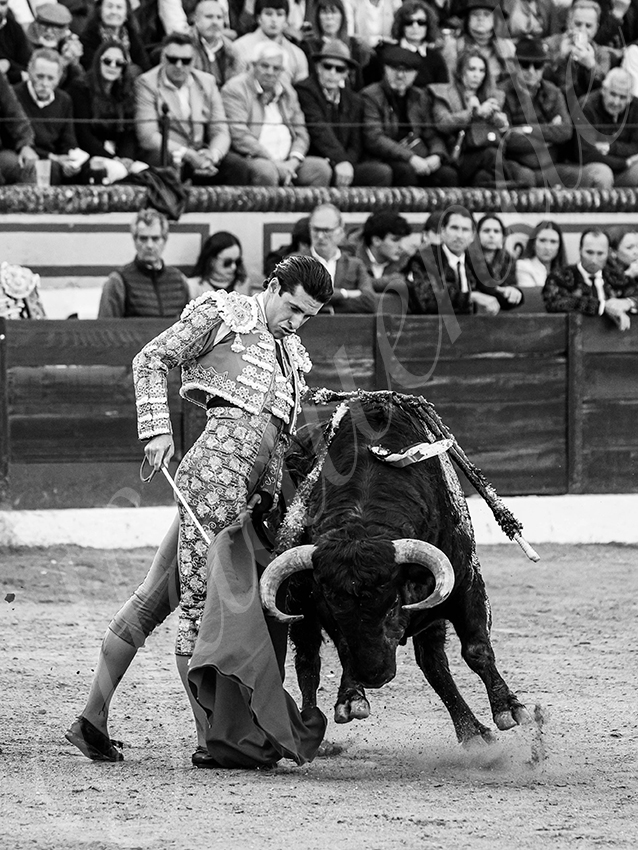 20260308 tarde olivenza fd 005