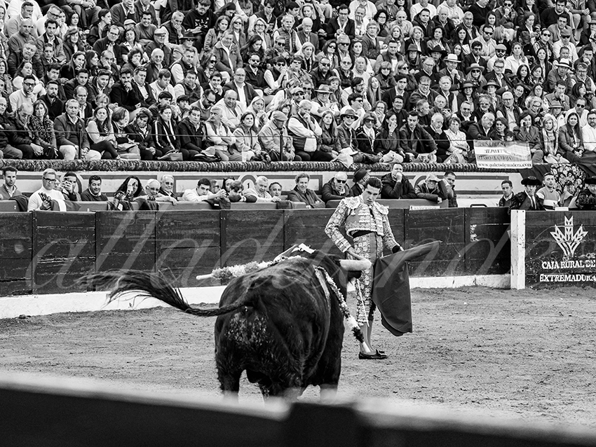 20260308 tarde olivenza fd 004