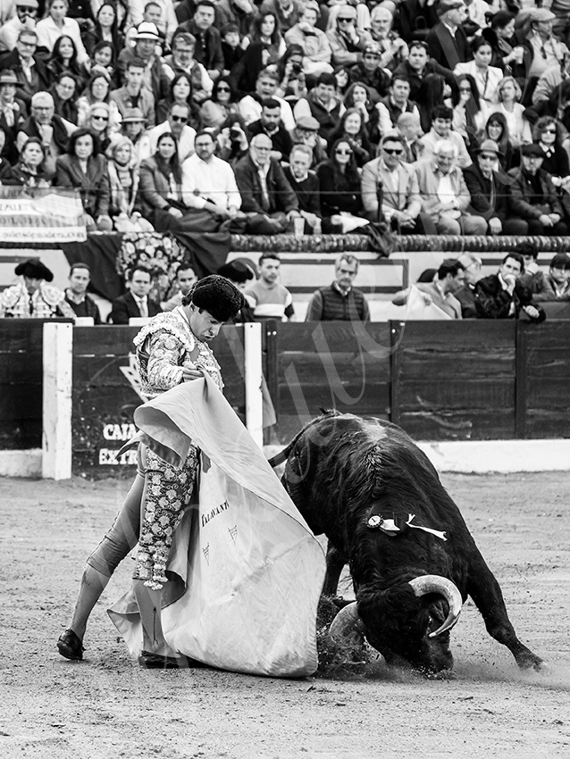 20260308 tarde olivenza fd 003