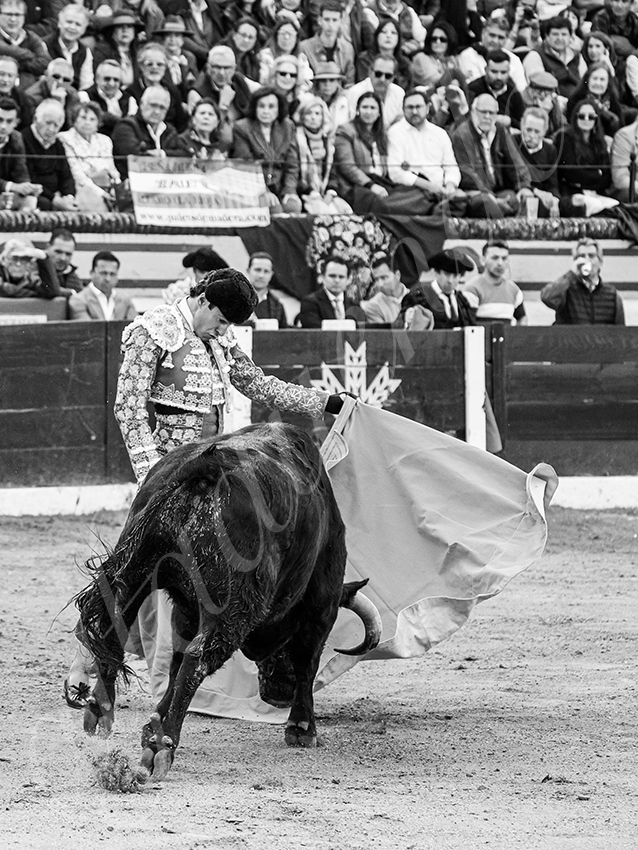 20260308 tarde olivenza fd 002