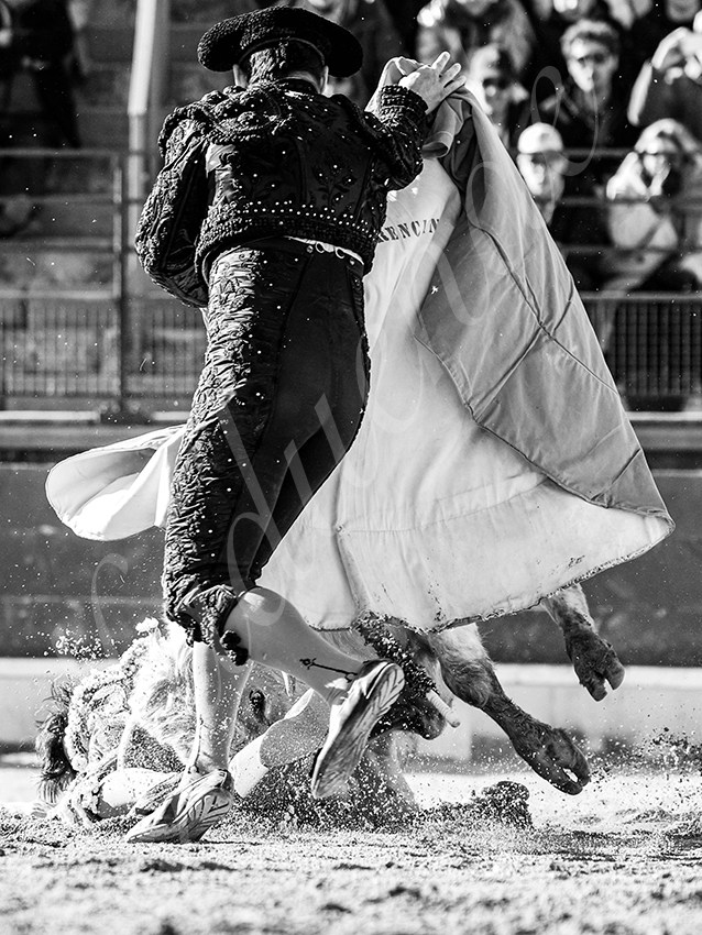 20260329 bellegarde by alfaduende fd 028