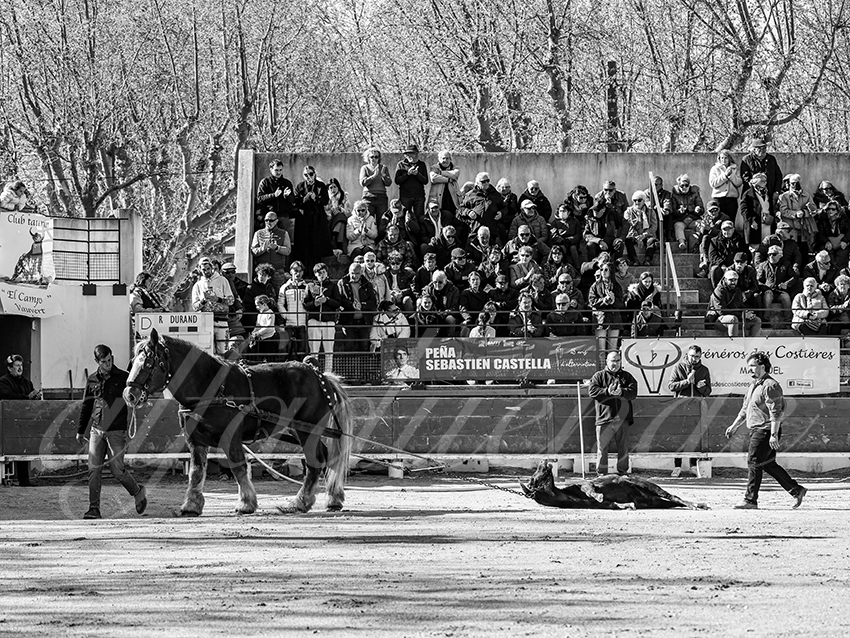 20260329 bellegarde by alfaduende fd 024