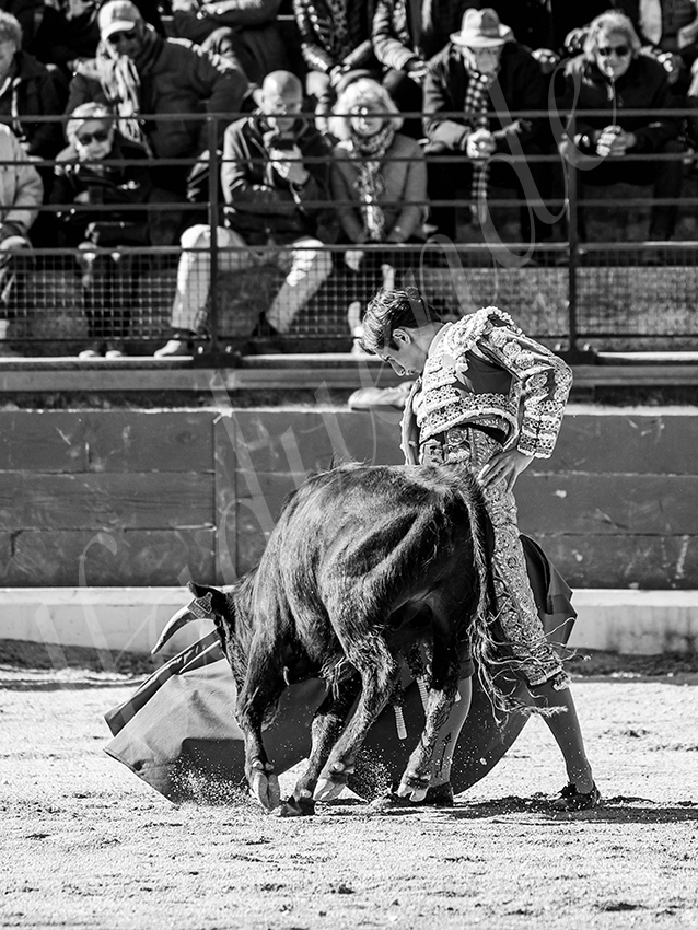 20260329 bellegarde by alfaduende fd 020