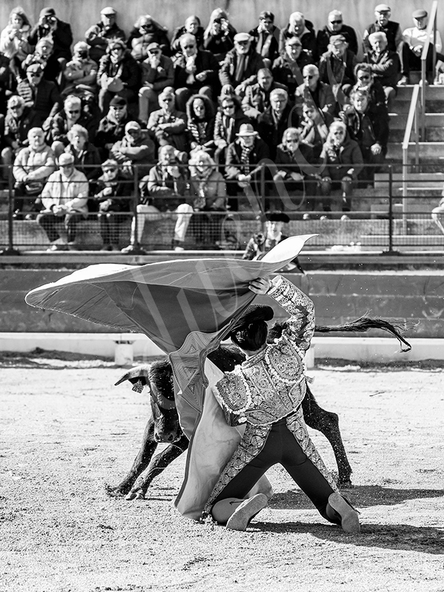 20260329 bellegarde by alfaduende fd 017