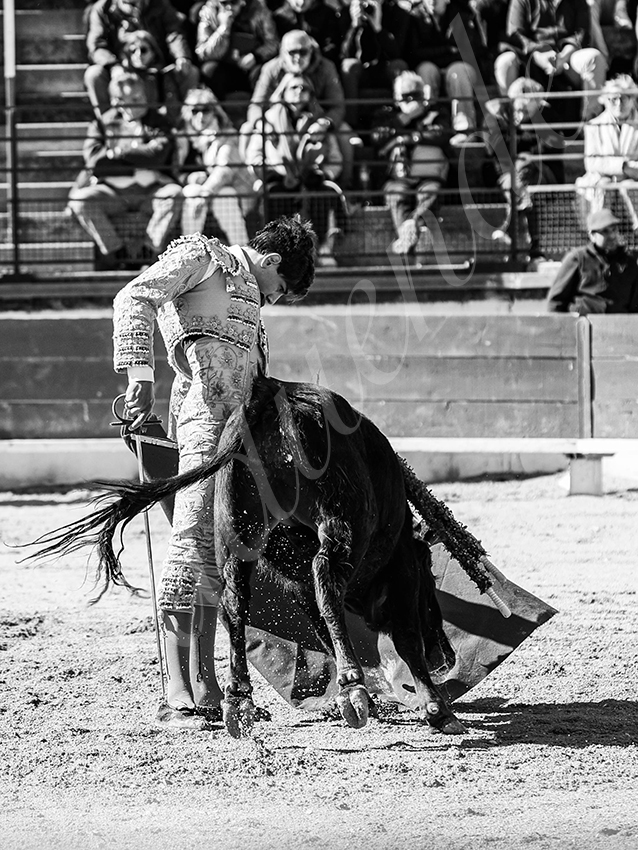 20260329 bellegarde by alfaduende fd 009