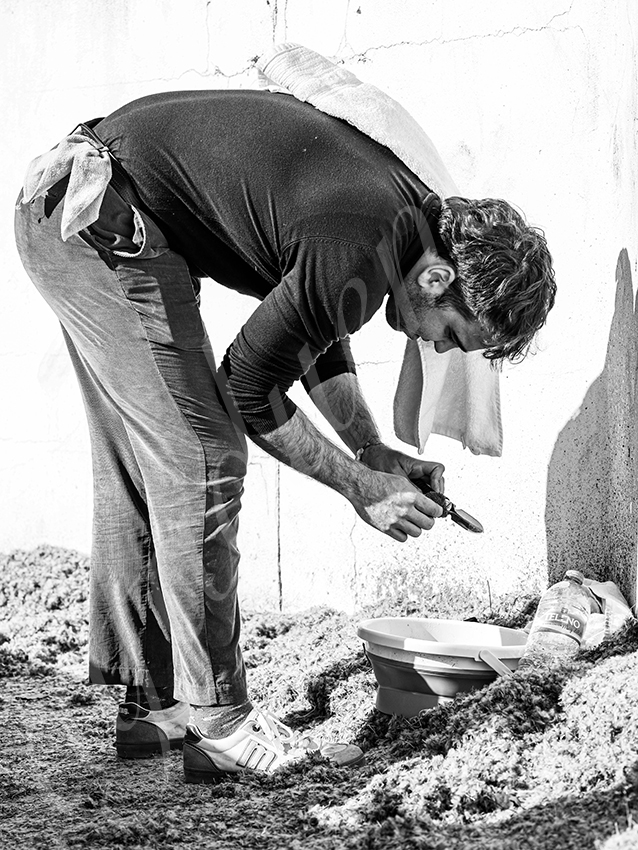 20260329 bellegarde by alfaduende fd 007