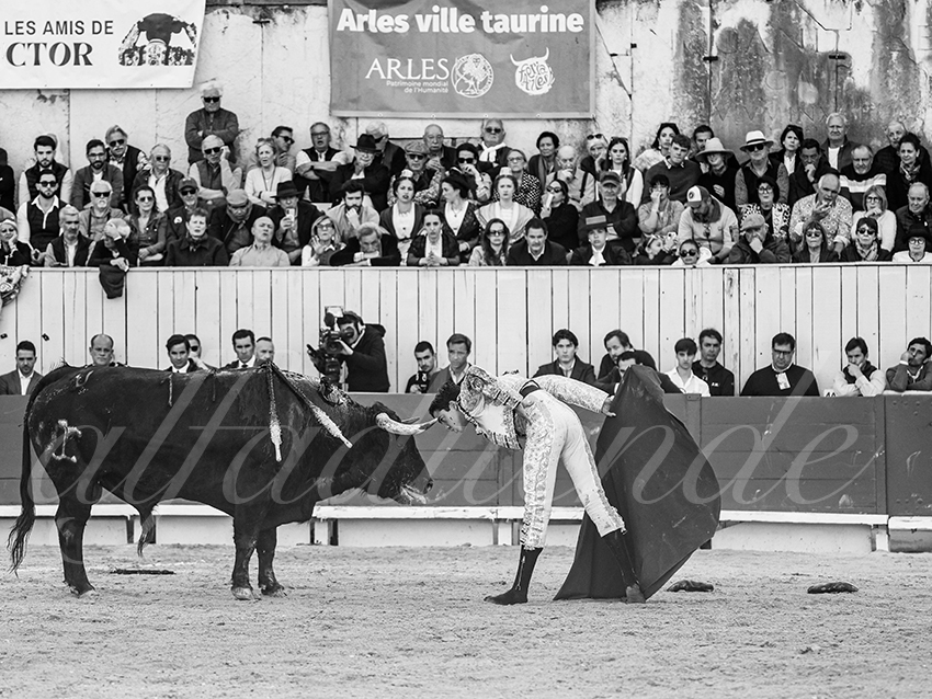 20260404 arles fd 023 copie