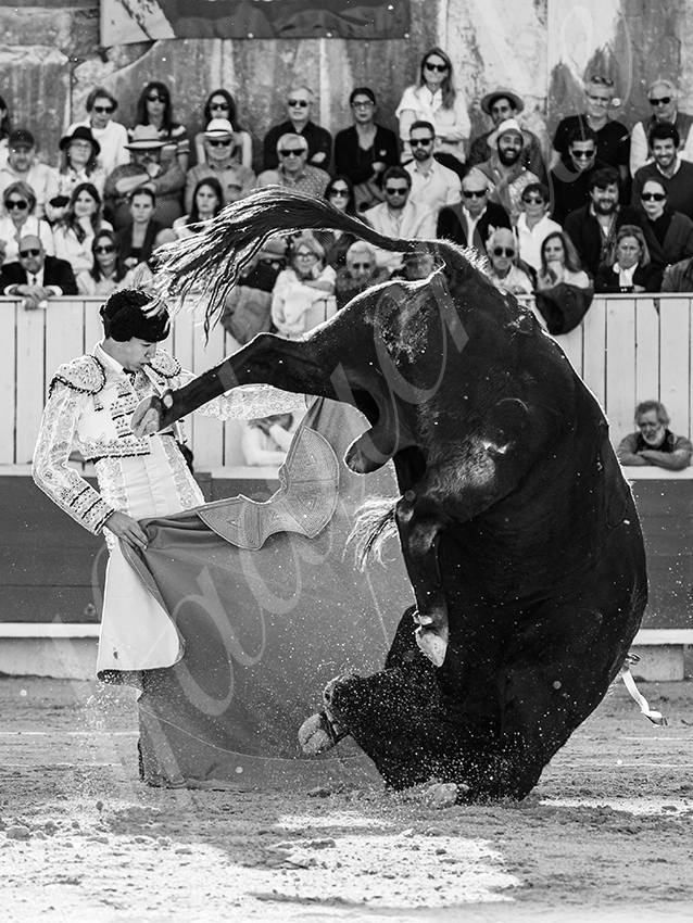 20260404 arles fd 022 copie