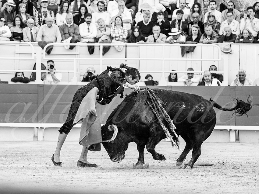 20260404 arles fd 021 copie