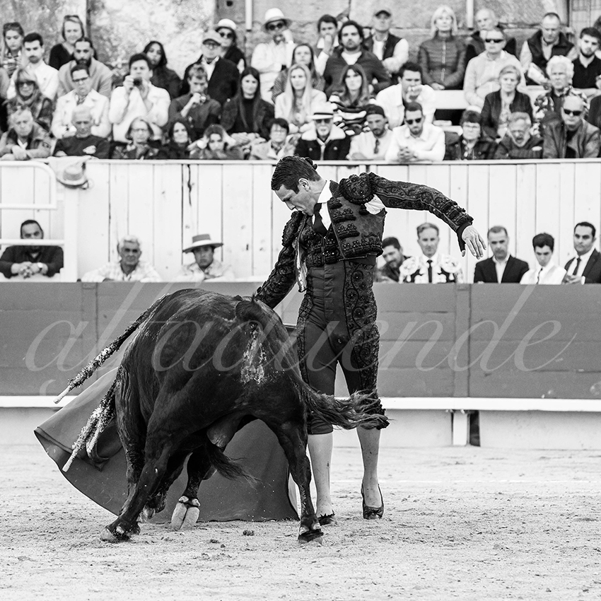 20260404 arles fd 020 copie