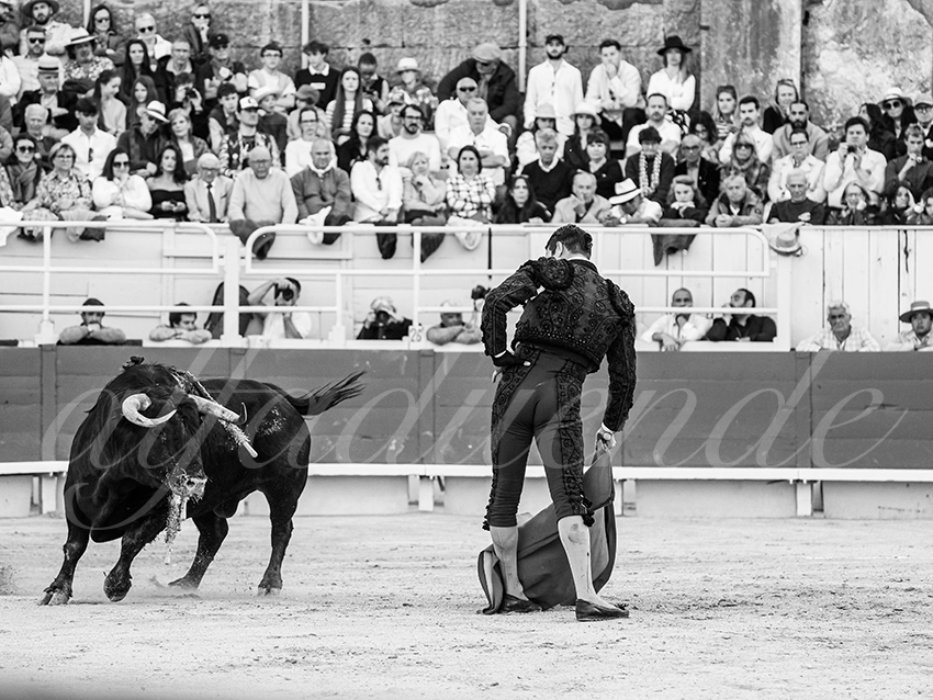 20260404 arles fd 019 copie